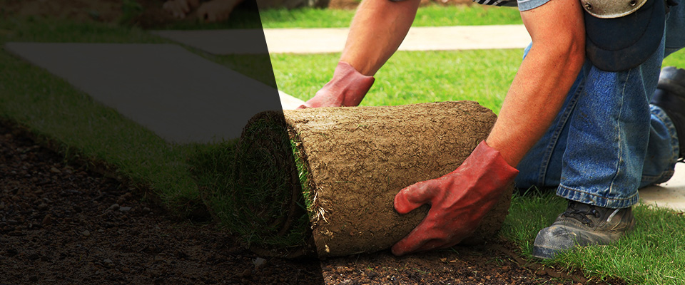 Fort Polk Landscapers